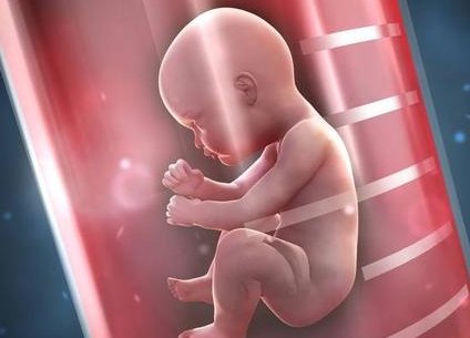 在郑州做试管医生建议促排期间这样吃！