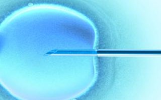 不孕不育在吕梁市做试管的费用有多少？一文告诉你做三代试管建档的流程有哪些