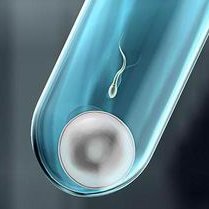 上海做三代试管公立医院哪家比较好