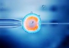 试管怀孕后可以开车吗，怀孕八个月还能开车吗