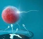 武汉市中西医结合医院（武汉市第一医院）做三代试管成功率如何？一文读懂需要花多少钱