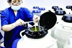 关于试管婴的胚胎移植前，需要了解这哪4点很重要？