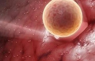 羊水过多吃亚麻酸的作用和吃dha一样吗？