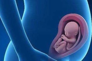 高龄女性做试管是适合试管婴儿长周期还是短周期呢？